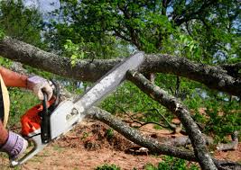 Soil Testing and Treatment in Briar, TX